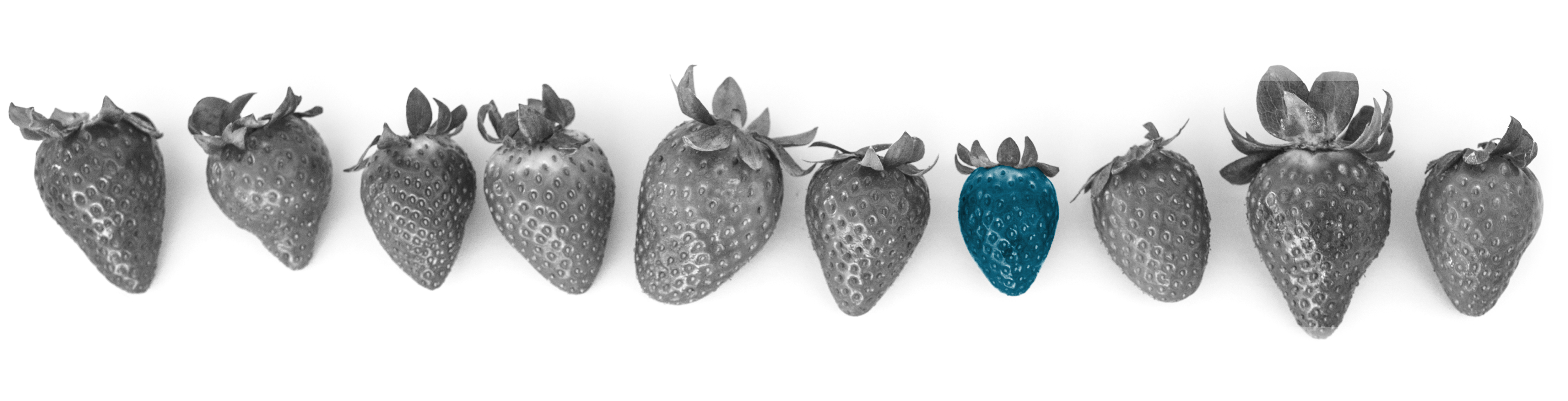empresa de marketing - consultoria marketing bilbao